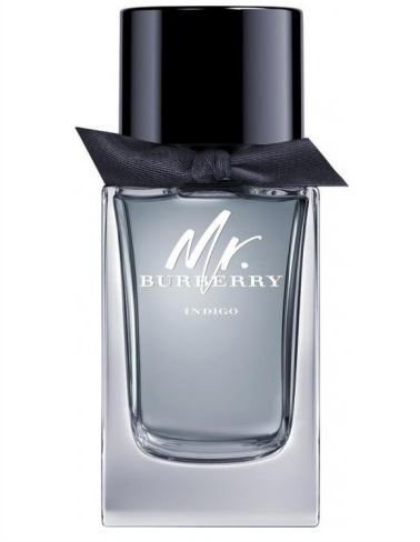 Mr. Burberry Indigo Burberry - Yourfumes